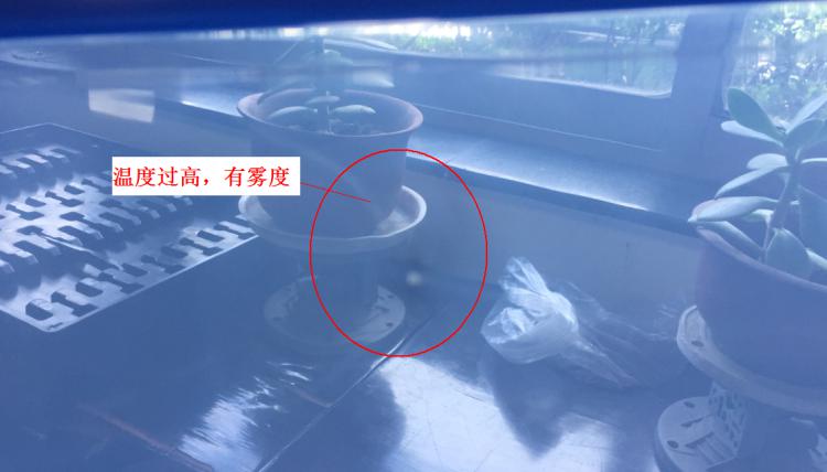 注塑制品質(zhì)量缺陷分析（六）造成制品表面有霧度的主要原因是什么？